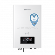 Электрический настенный котел THERMEX Tesla 12-24 Wi-Fi